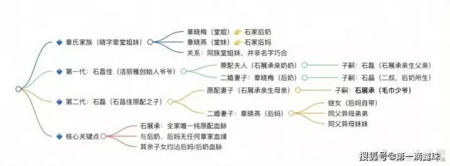 中国大富之家 家族合影扒出狗血豪门宅斗